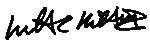 Williams_E-Signature_2.gif